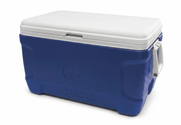 Cooler medio blu con coperchio bianco